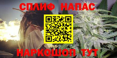 сатива Дубна